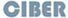 Logo CIBER Logo Ciber